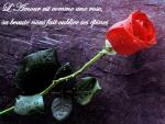 KiSs � vOuS...