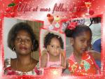 hibiscus97130dziles