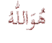 anass razik