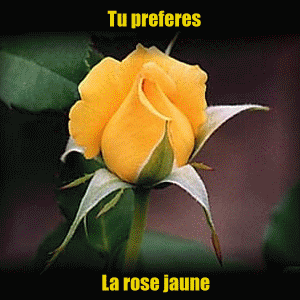 voter pour lamoure