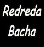 redreda bacha