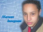 le beaugoose