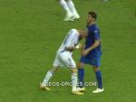 tigres