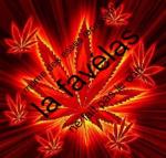 S� Nou Men'm en Force