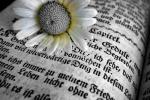 #___  _* .ılılı. � JΛMΛiiS JΣ N'ΛURΛiiS CRU POUVOiiR ΛiiMΣR ΛUTΛNT*  <3