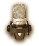 LARA FABIAN - GREGORY LEMARCHAL