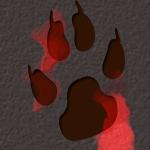 Pour les passionn�s des loups !