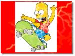 skateboarding is not a crime