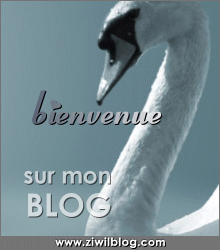 welcome to my vip-blog