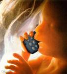 Notre blog � nous