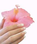 Institut Beaut� de Soie