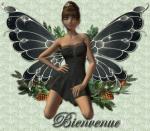 les cr�ations de comete