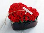 mima_rachid