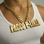le rap dans mon sang 