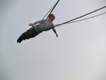 artiste de cirque