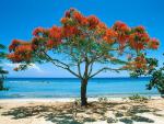 bonne vie � tous
