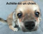 titi loveur