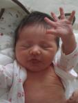 As perip�cias da Sofia