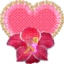 blog de l'ann�e